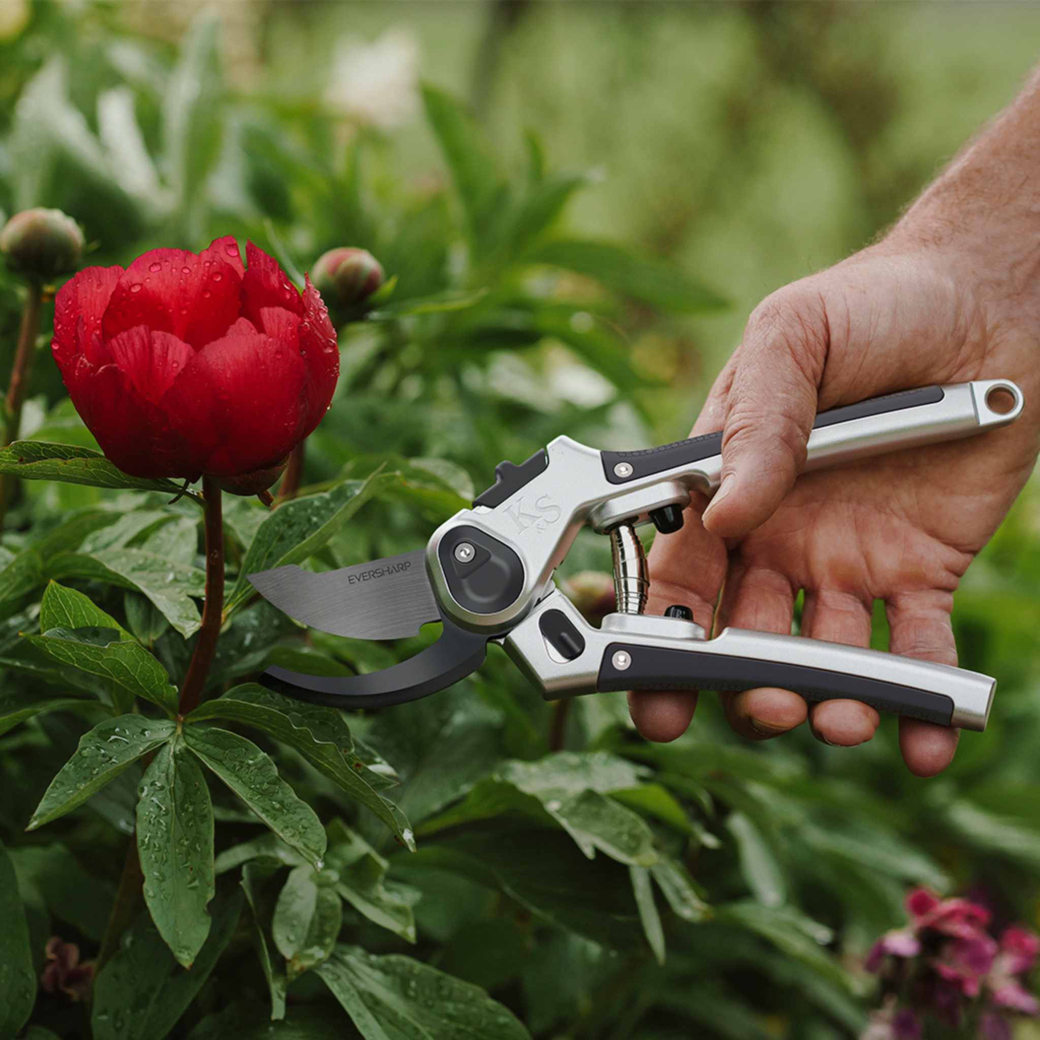 Eversharp All Purpose Secateurs