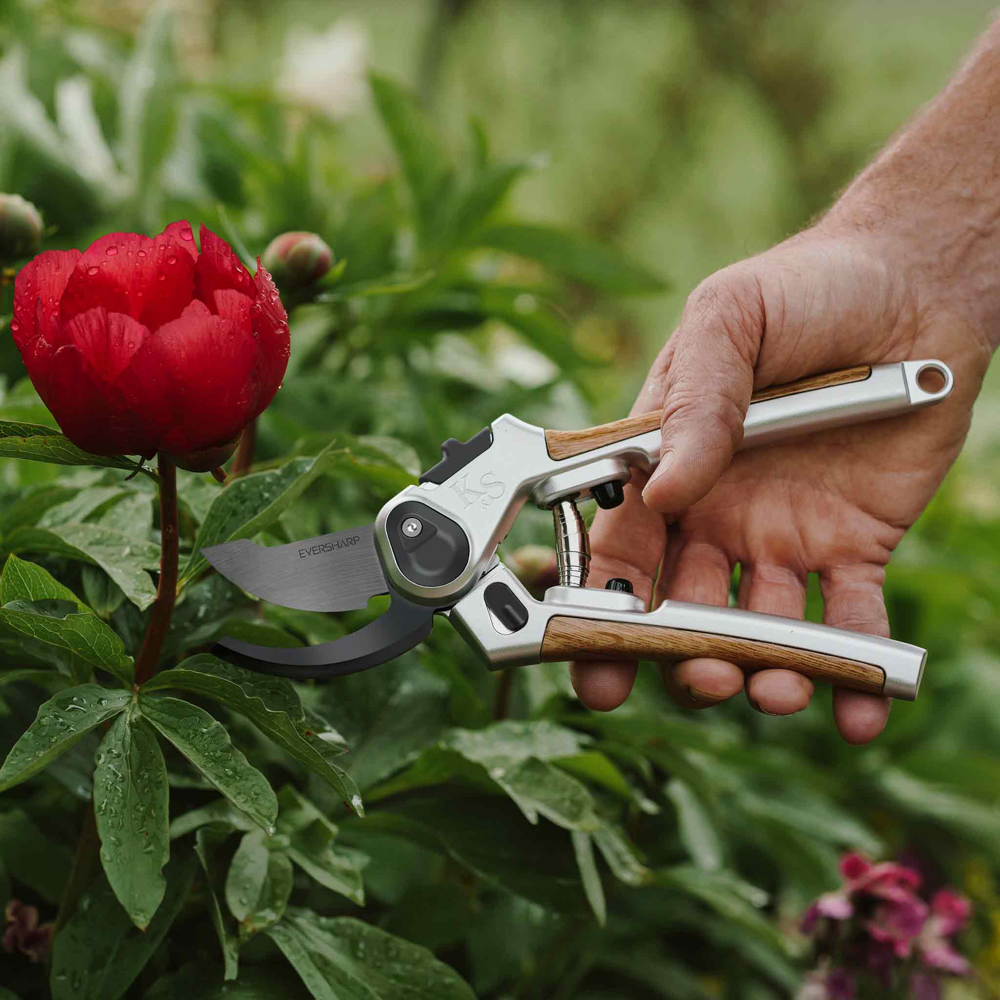 Kent & Stowe Eversharp ™ Premium Secateurs Duo Gift Set