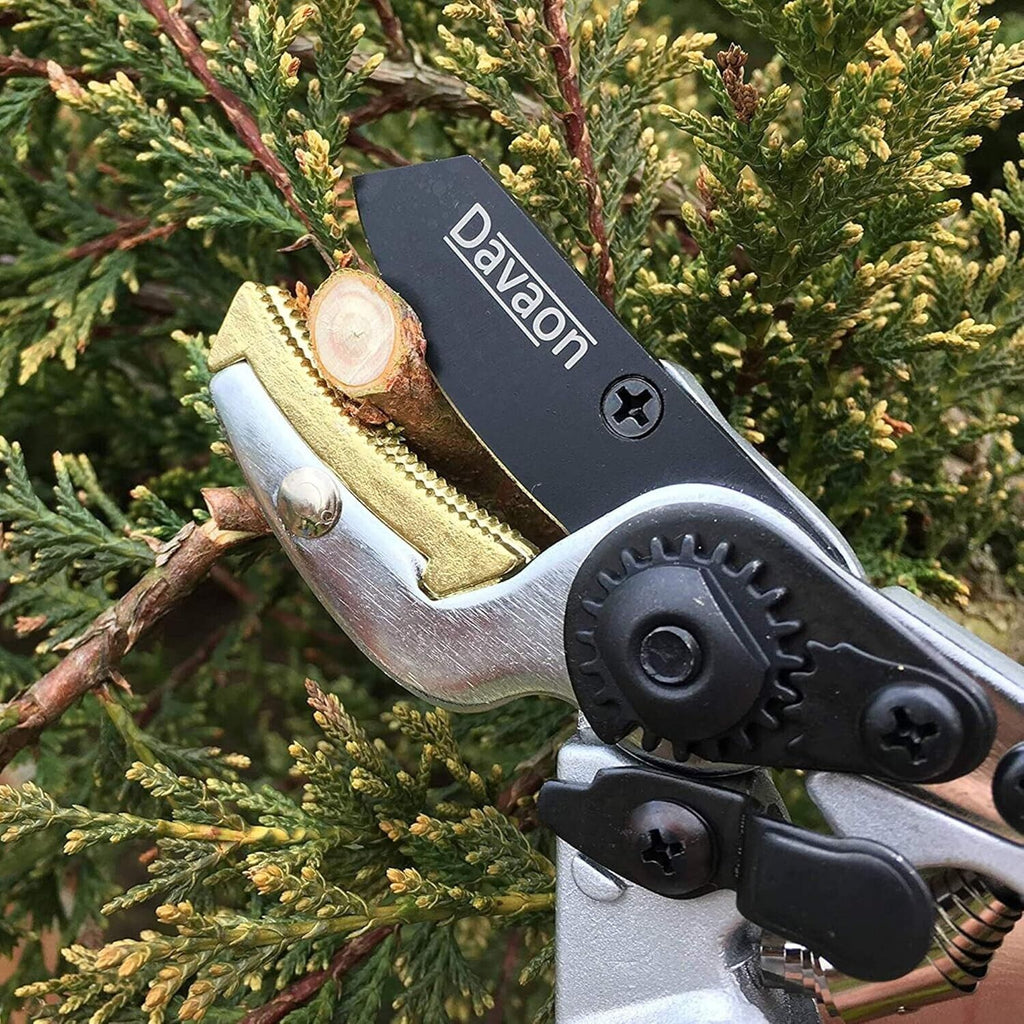 Davaon Anvil Style Secateurs
