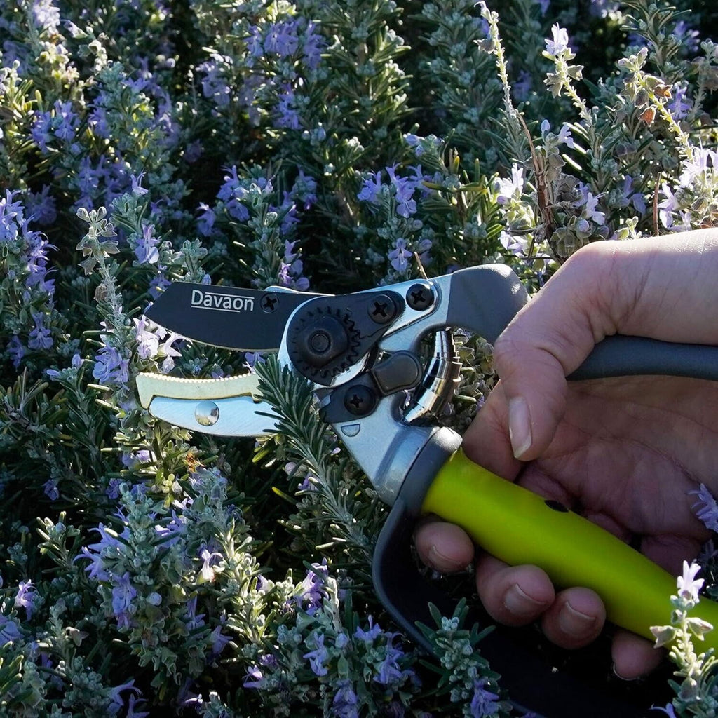 Davaon Anvil Style Secateurs