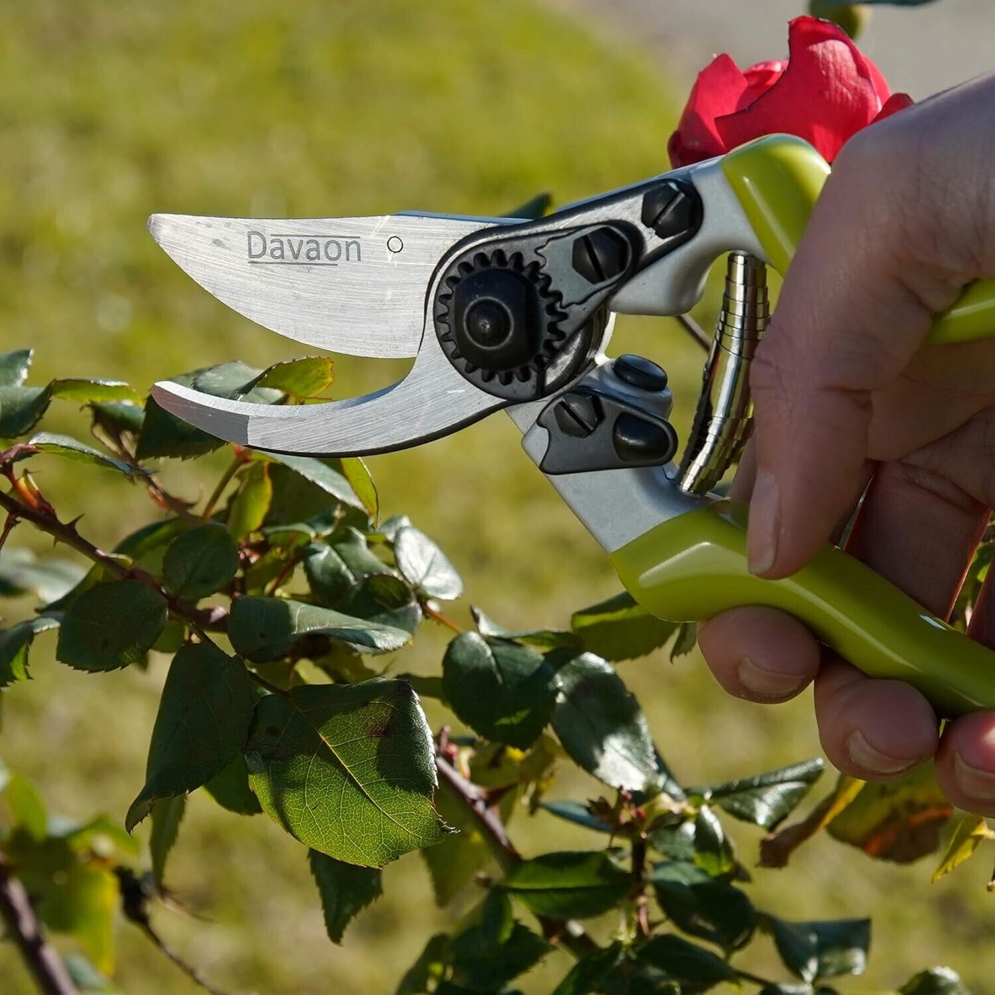 Davaon Bypass Secateurs