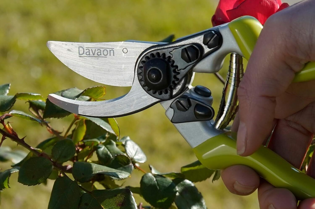 Davaon Bypass Secateurs